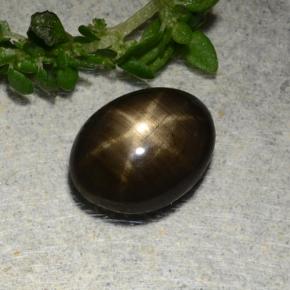 1,97 ctw natürlicher schwarzer Stern-Saphir, Oval Schliff, Lichtundurchlässig