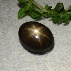 1,97 ctw natürlicher schwarzer Stern-Saphir, Oval Schliff, Lichtundurchlässig