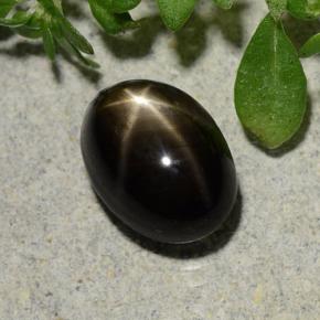 2,60 ctw natürlicher schwarzer Stern-Saphir, Oval Schliff, Lichtundurchlässig