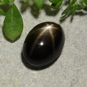 2,60 ctw natürlicher schwarzer Stern-Saphir, Oval Schliff, Lichtundurchlässig