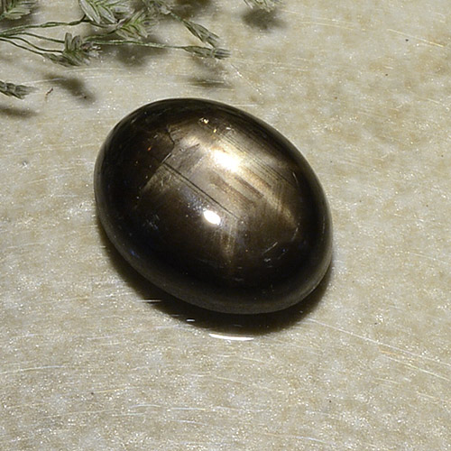 2,87 ctw natürlicher schwarzer Stern-Saphir, Oval Schliff, Lichtundurchlässig