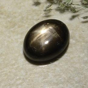 2,87 ctw natürlicher schwarzer Stern-Saphir, Oval Schliff, Lichtundurchlässig