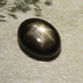 2,87 ctw natürlicher schwarzer Stern-Saphir, Oval Schliff, Lichtundurchlässig