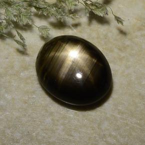 2,37 ctw natürlicher schwarzer Stern-Saphir, Oval Schliff, Lichtundurchlässig