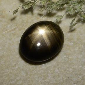 2,37 ctw natürlicher schwarzer Stern-Saphir, Oval Schliff, Lichtundurchlässig