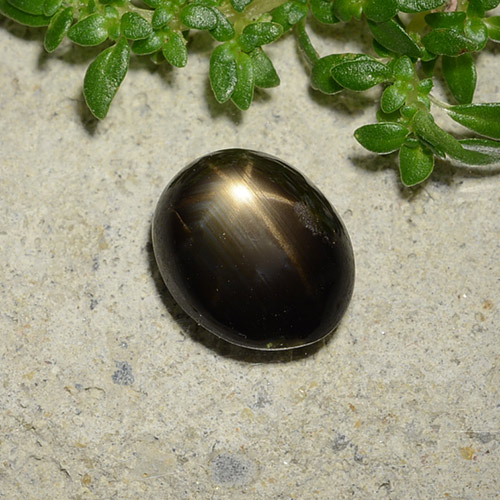 9,17 ctw natürlicher Schwarz Sternsaphir, Oval Schliff, Lichtundurchlässig
