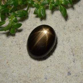 1,96 ctw natürlicher schwarzer Stern-Saphir, Oval Schliff, Lichtundurchlässig