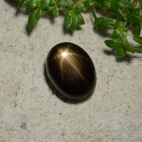 1,96 ctw natürlicher schwarzer Stern-Saphir, Oval Schliff, Lichtundurchlässig