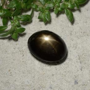 2,45 ctw natürlicher schwarzer Stern-Saphir, Oval Schliff, Lichtundurchlässig