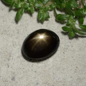 2,45 ctw natürlicher schwarzer Stern-Saphir, Oval Schliff, Lichtundurchlässig