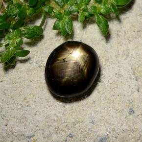 2,46 ctw natürlicher schwarzer Stern-Saphir, Oval Schliff, Lichtundurchlässig