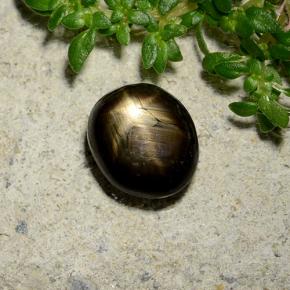 2,46 ctw natürlicher schwarzer Stern-Saphir, Oval Schliff, Lichtundurchlässig
