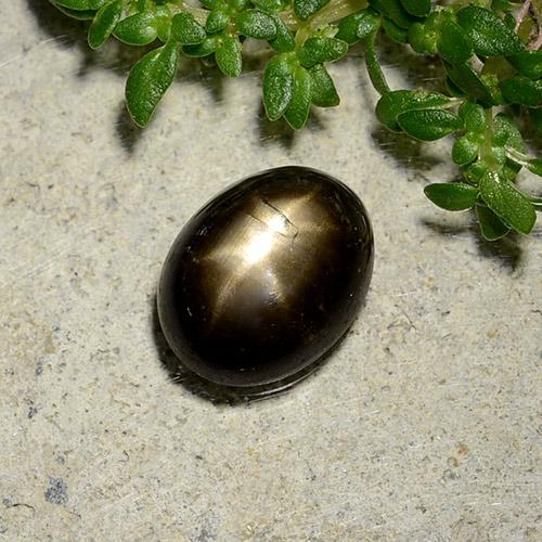 2,07 ctw natürlicher schwarzer Stern-Saphir, Oval Schliff, Lichtundurchlässig