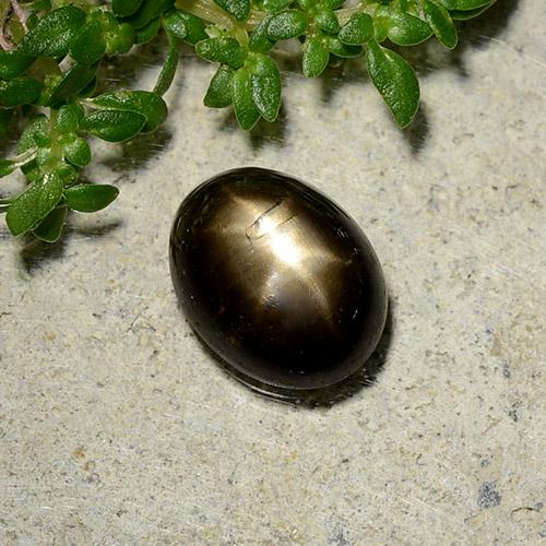 2,07 ctw natürlicher schwarzer Stern-Saphir, Oval Schliff, Lichtundurchlässig