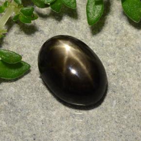 2,91 ctw natürlicher schwarzer Stern-Saphir, Oval Schliff, Lichtundurchlässig