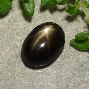 2,91 ctw natürlicher schwarzer Stern-Saphir, Oval Schliff, Lichtundurchlässig