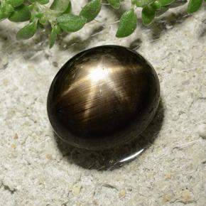 3,31 ctw natürlicher schwarzer Stern-Saphir, Oval Schliff, Lichtundurchlässig