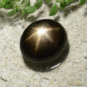3,31 ctw natürlicher schwarzer Stern-Saphir, Oval Schliff, Lichtundurchlässig