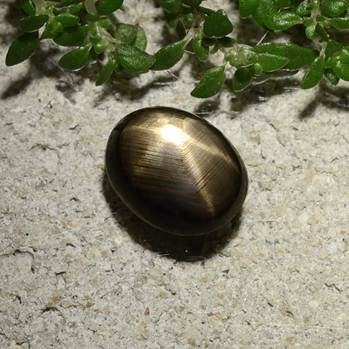 2,10 ctw natürlicher schwarzer Stern-Saphir, Oval Schliff, Lichtundurchlässig