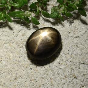 2,10 ctw natürlicher schwarzer Stern-Saphir, Oval Schliff, Lichtundurchlässig