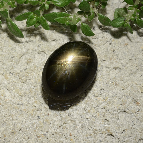 2,47 ctw natürlicher schwarzer Stern-Saphir, Oval Schliff, Lichtundurchlässig