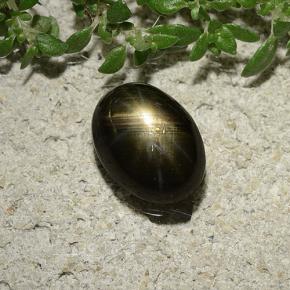 2,47 ctw natürlicher schwarzer Stern-Saphir, Oval Schliff, Lichtundurchlässig