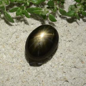 2,47 ctw natürlicher schwarzer Stern-Saphir, Oval Schliff, Lichtundurchlässig