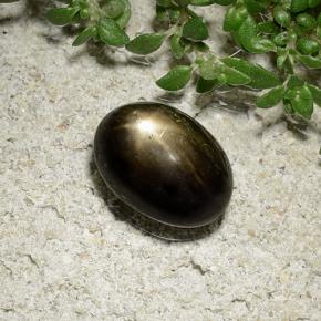 9,17 ctw natürlicher Schwarz Sternsaphir, Oval Schliff, Lichtundurchlässig