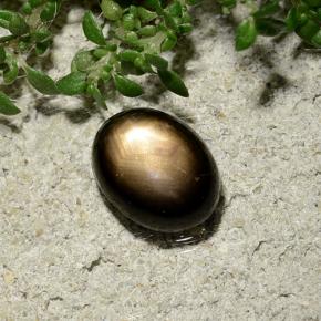 9,17 ctw natürlicher Schwarz Sternsaphir, Oval Schliff, Lichtundurchlässig