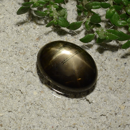 2,09 ctw natürlicher schwarzer Stern-Saphir, Oval Schliff, Lichtundurchlässig