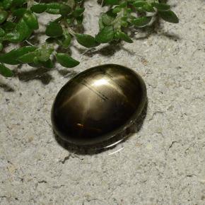 2,09 ctw natürlicher schwarzer Stern-Saphir, Oval Schliff, Lichtundurchlässig