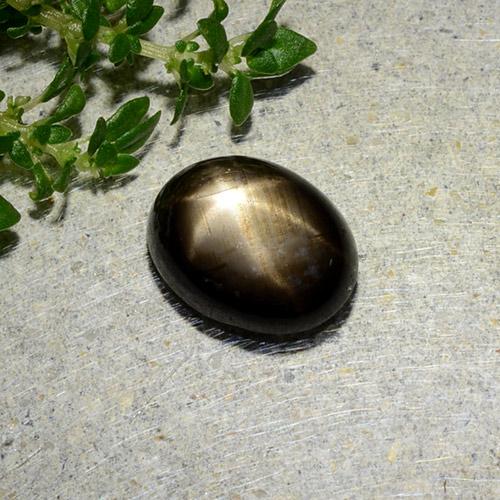 1,97 ctw natürlicher schwarzer Stern-Saphir, Oval Schliff, Lichtundurchlässig