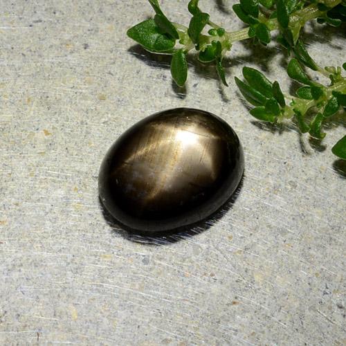 1,97 ctw natürlicher schwarzer Stern-Saphir, Oval Schliff, Lichtundurchlässig