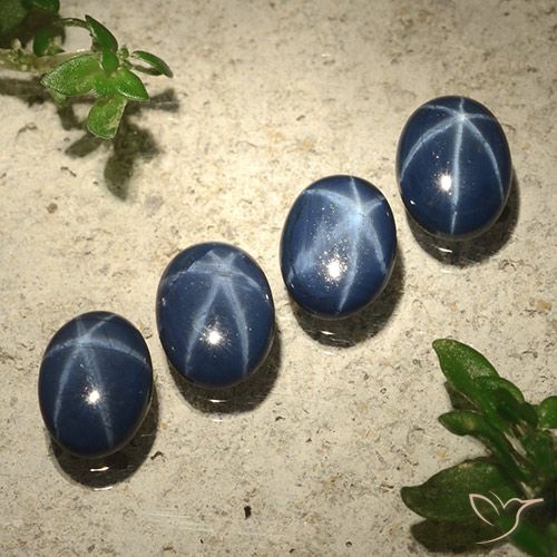 3.44ctw Natürlicher Tiefes Marineblau Sternsaphir, Oval, Lichtundurchlässig
