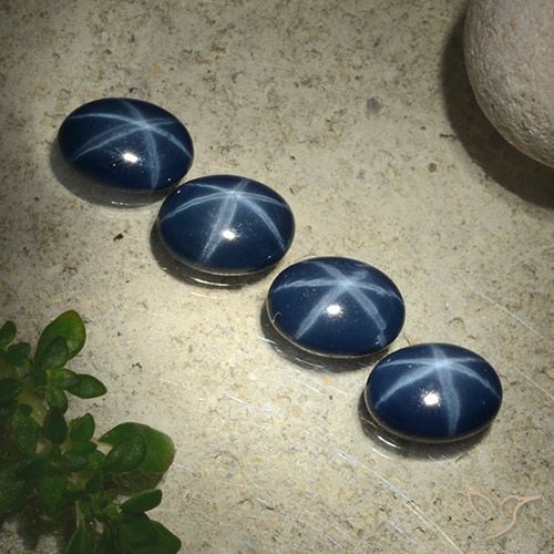 4.05ctw Natürlicher Tiefes Marineblau Sternsaphir, Oval, Lichtundurchlässig