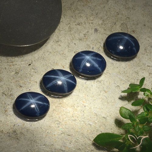 3.59ctw Natürlicher Tiefes Marineblau Sternsaphir, Oval, Lichtundurchlässig