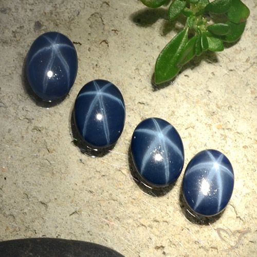 2.84ctw Natürlicher dunkelblau Sternsaphir, Oval, Lichtundurchlässig, Photo A
