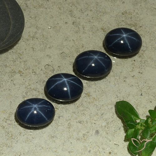 5.77ctw Natürlicher dunkelblau Sternsaphir, Oval, Lichtundurchlässig
