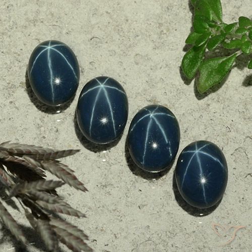 4.92ctw Natürlicher Tiefes Marineblau Sternsaphir, Oval, Lichtundurchlässig