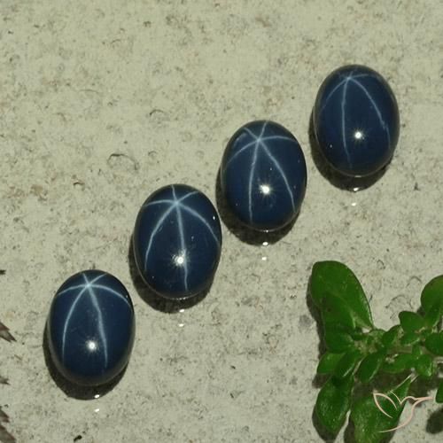 5.11ctw Natürlicher dunkelblau Sternsaphir, Oval, Lichtundurchlässig