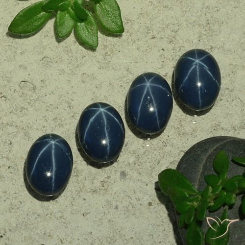 4.94ctw Natürlicher Tiefes Marineblau Sternsaphir, Oval, Lichtundurchlässig