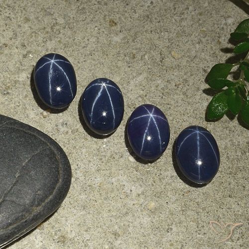 4.72ctw Natürlicher dunkelblau Sternsaphir, Oval, Lichtundurchlässig