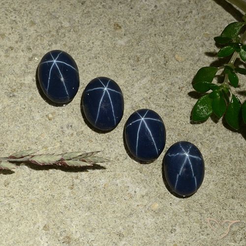 3.34ctw Natürlicher Tiefes Marineblau Sternsaphir, Oval, Lichtundurchlässig