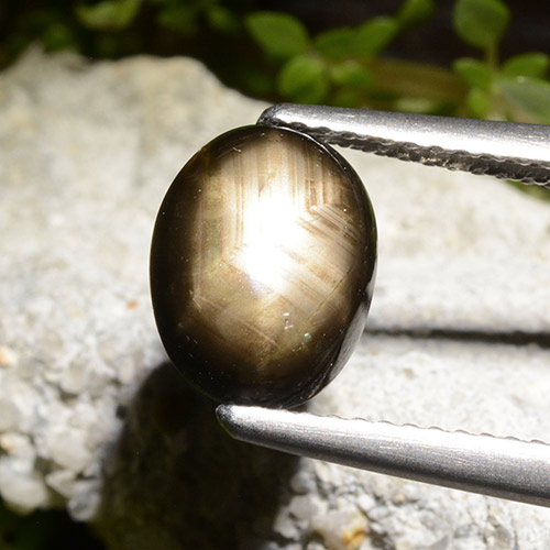2,71 ctw natürlicher schwarzer Stern-Saphir, Oval Schliff, Lichtundurchlässig