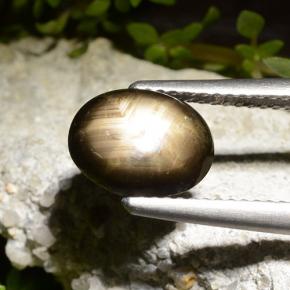 2,71 ctw natürlicher schwarzer Stern-Saphir, Oval Schliff, Lichtundurchlässig