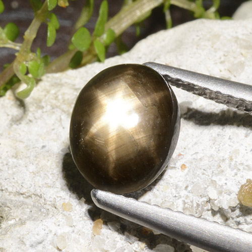 9,17 ctw natürlicher Schwarz Sternsaphir, Oval Schliff, Lichtundurchlässig