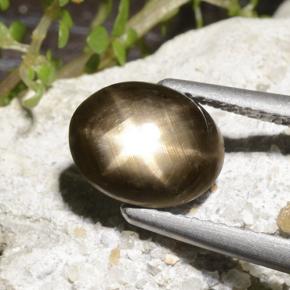 9,17 ctw natürlicher Schwarz Sternsaphir, Oval Schliff, Lichtundurchlässig