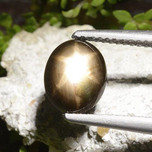 2,65 ctw natürlicher schwarzer Stern-Saphir, Oval Schliff, Lichtundurchlässig