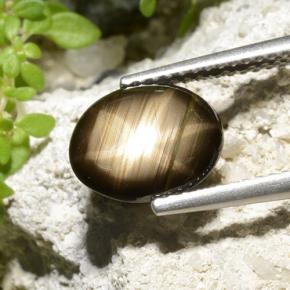 9,17 ctw natürlicher Schwarz Sternsaphir, Oval Schliff, Lichtundurchlässig