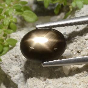 9,17 ctw natürlicher Schwarz Sternsaphir, Oval Schliff, Lichtundurchlässig
